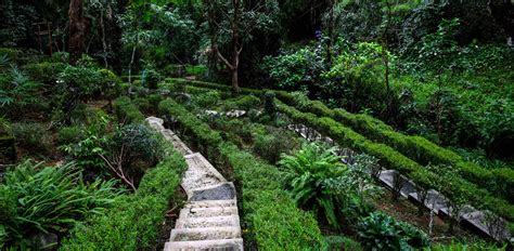 la union botanical garden|LA UNION BOTANICAL GARDEN .